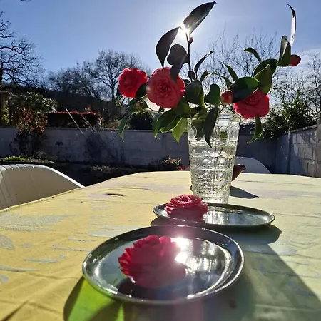 Mont Saint Michel Chez Pepe Lucien *