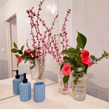 Mont Saint Michel Chez Pépé Lucien La Gohanniere