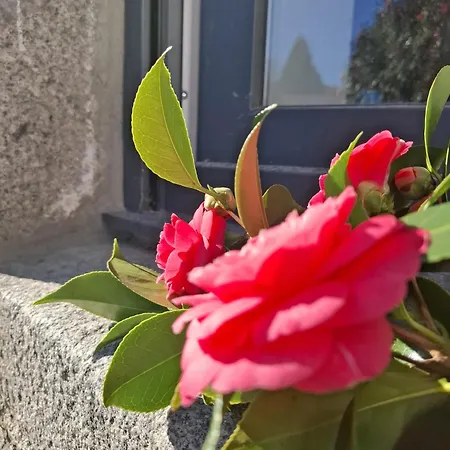 Mont Saint Michel Chez Pepe Lucien Prázdninový dům *