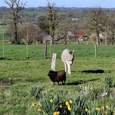 Mont Saint Michel Chez Pepe Lucien Prázdninový dům La Gohanniere