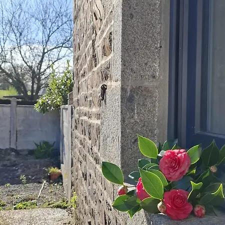 Mont Saint Michel Chez Pépé Lucien *