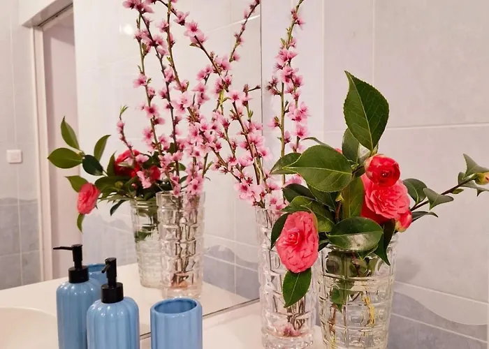 Mont Saint Michel Chez Pepe Lucien La Gohanniere