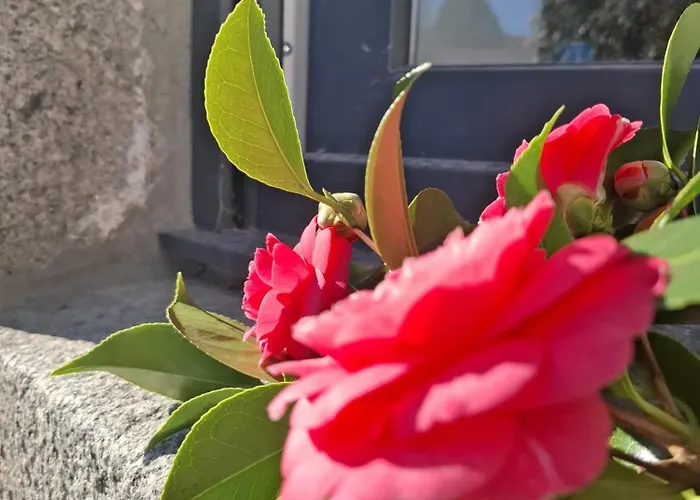 Mont Saint Michel Chez Pepe Lucien Vakantiehuis *