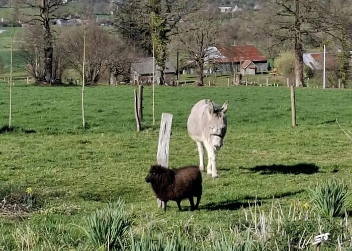 Mont Saint Michel Chez Pepe Lucien Vakantiehuis La Gohanniere