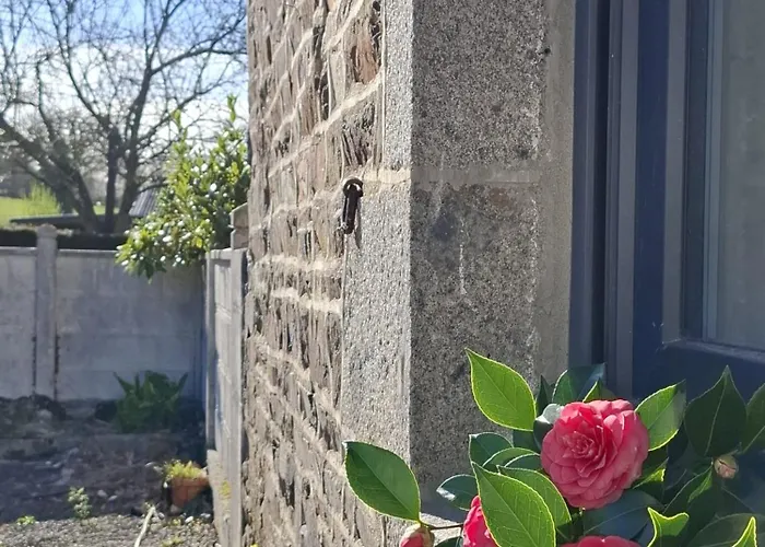 Mont Saint Michel Chez Pepe Lucien *